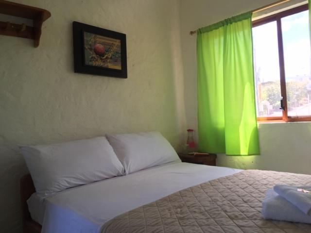 Royal Galapagos Inn Puerto Baquerizo Moreno Ngoại thất bức ảnh
