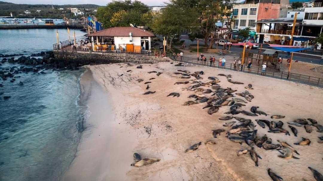 Royal Galapagos Inn Puerto Baquerizo Moreno Ngoại thất bức ảnh